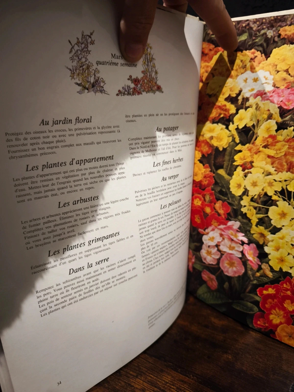 52 weken tuinieren – photo 2